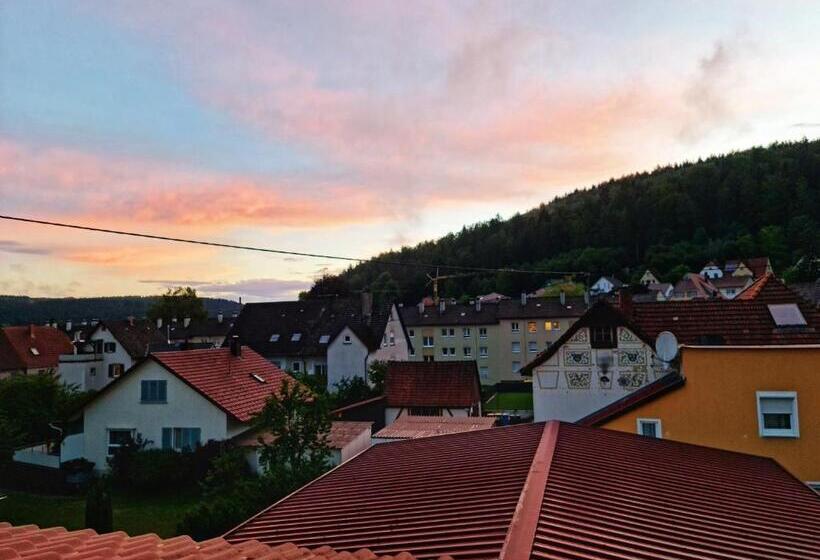 Pension Transilvania