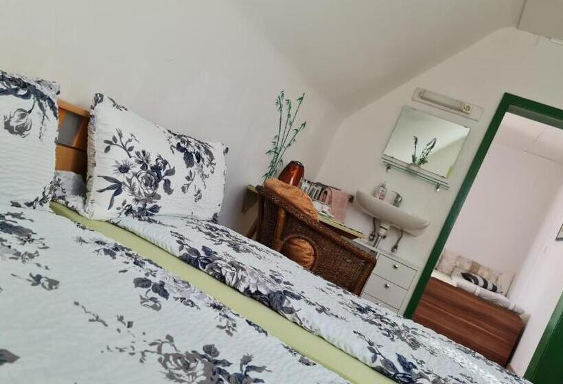 Pension Transilvania