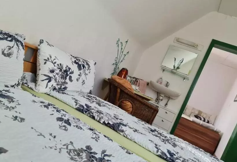 Pension Transilvania