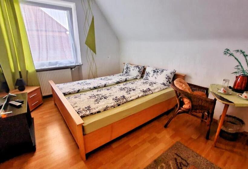 Pension Transilvania