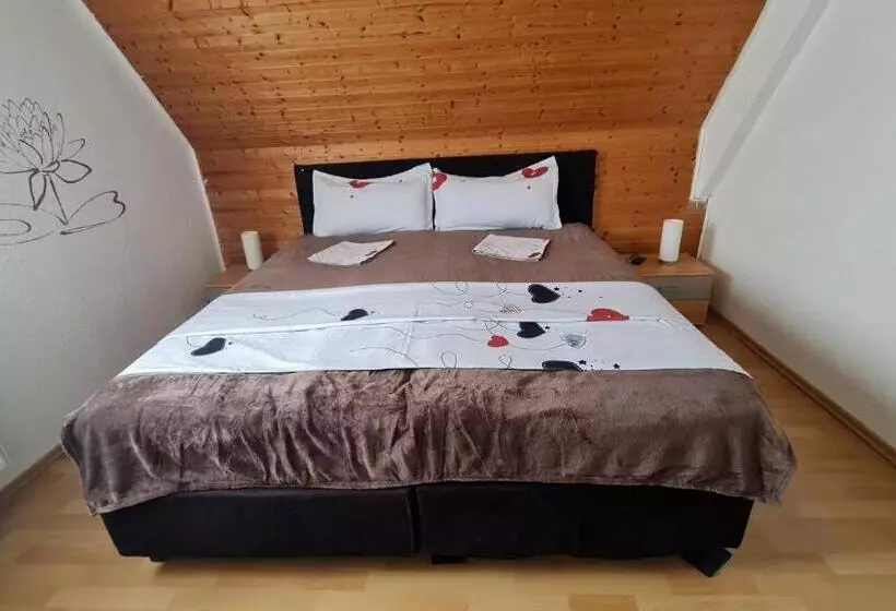 Pension Transilvania