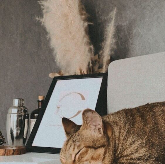 تختخواب و صبحانه Coming Home Apartment