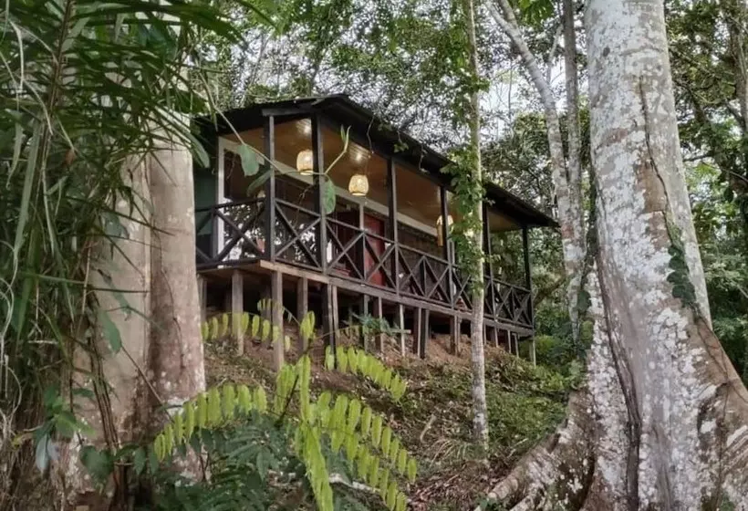 Eco Hotel Aldea   Amazonas