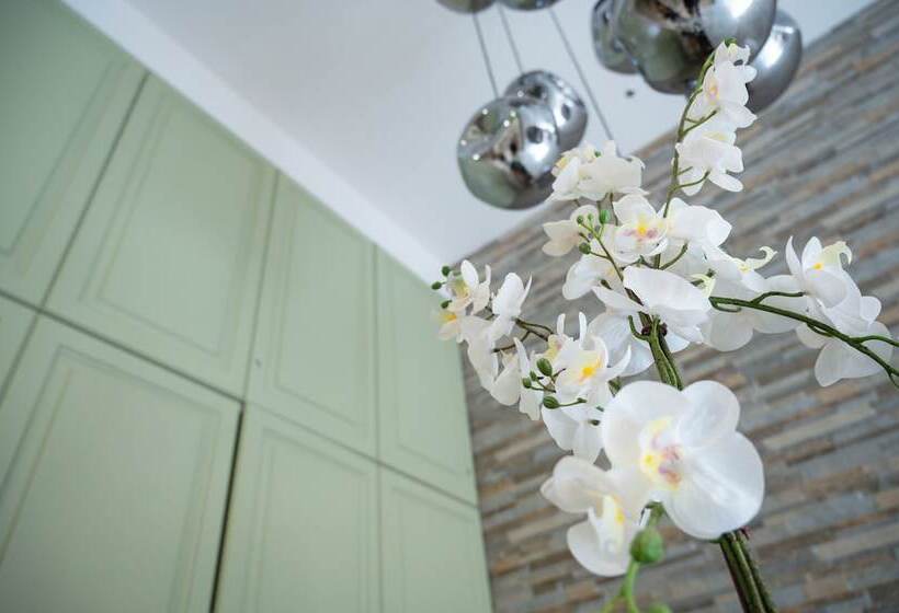 Hestia Kolokotroni 23