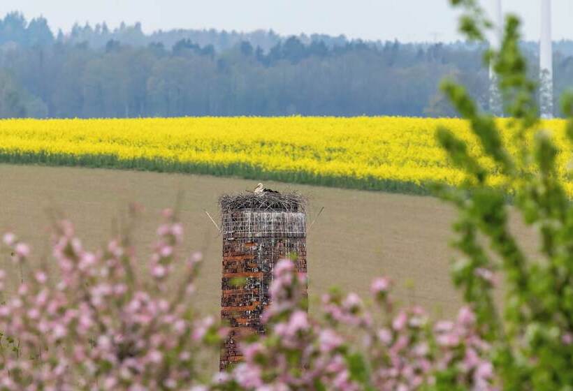 Отель Denkmalgeschütztes Rittergut Hexenburg