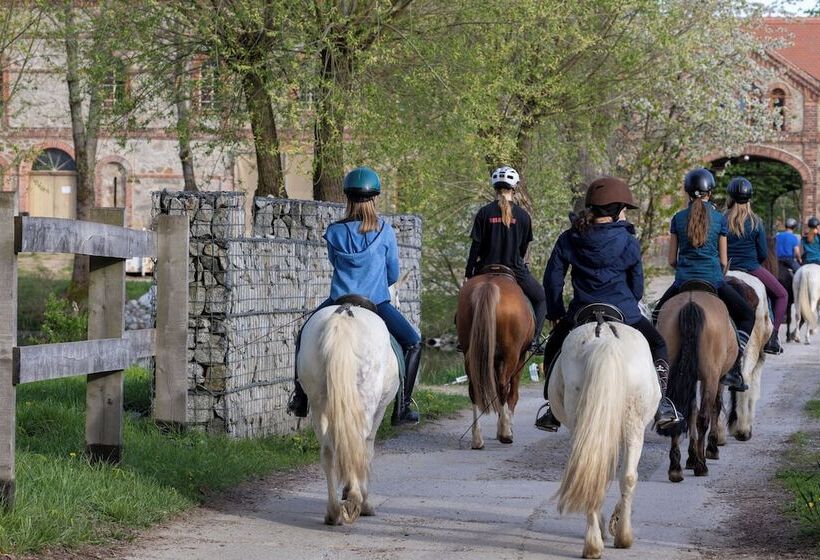 Отель Denkmalgeschütztes Rittergut Hexenburg