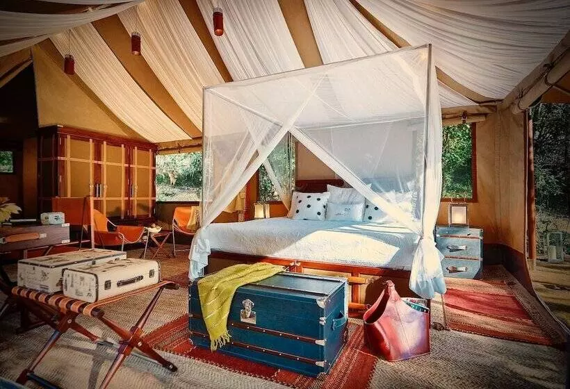 Hotelli Kohima Camp Nagaland By Tutc