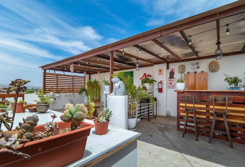 ホテル Sol De Moche