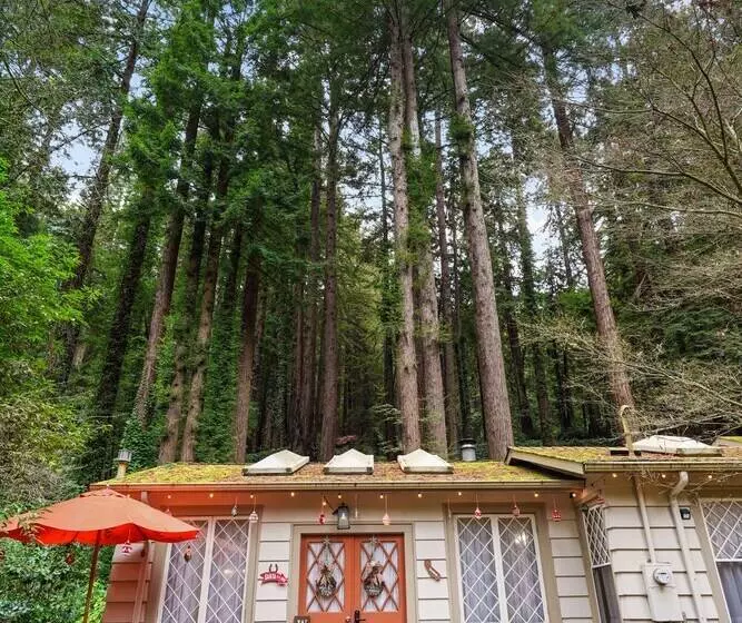 Pacific Coast Redwoods Cabin For Family