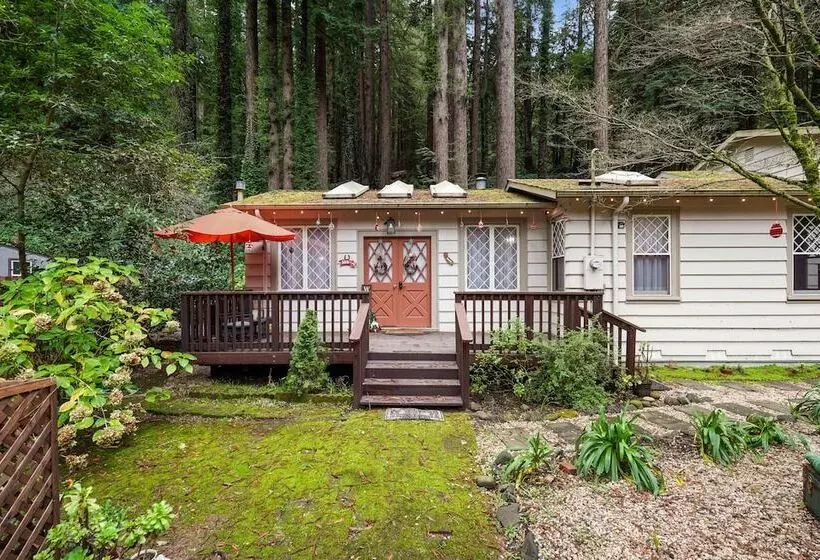 Pacific Coast Redwoods Cabin For Family