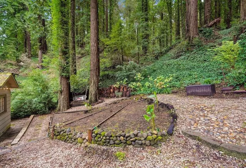 Pacific Coast Redwoods Cabin For Family