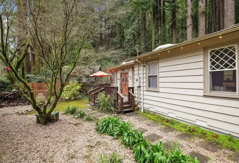 Pacific Coast Redwoods Cabin For Family