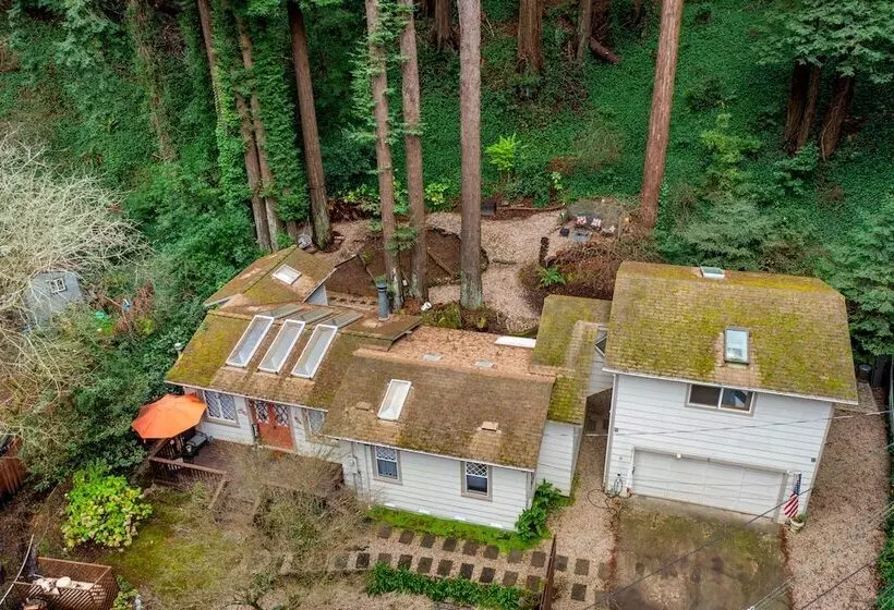Pacific Coast Redwoods Cabin For Family