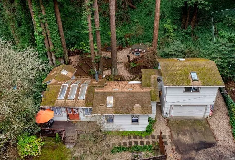 Pacific Coast Redwoods Cabin For Family