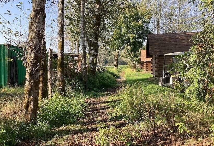 Wallicut River Rv Resort & Cabins