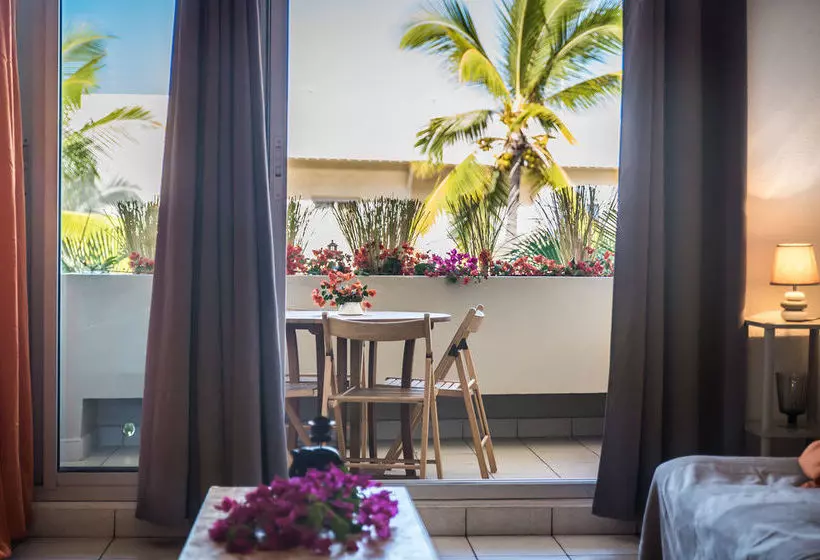Appartement Comptoir 31