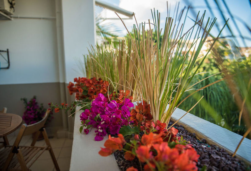 Appartement Comptoir 31