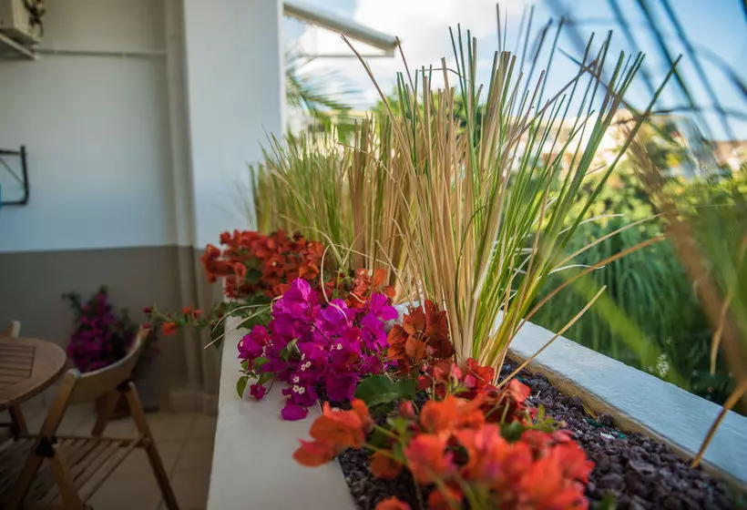 Appartement Comptoir 31