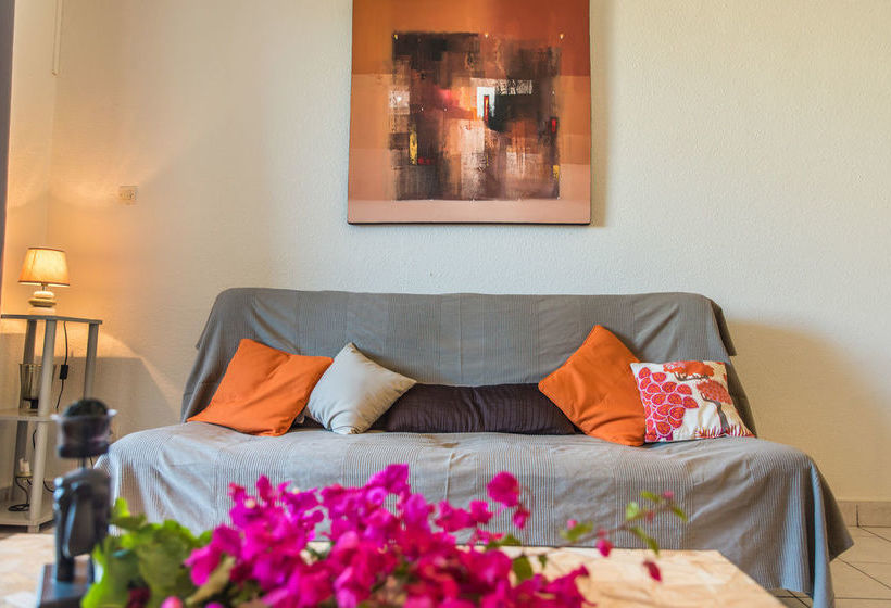 Appartement Comptoir 31