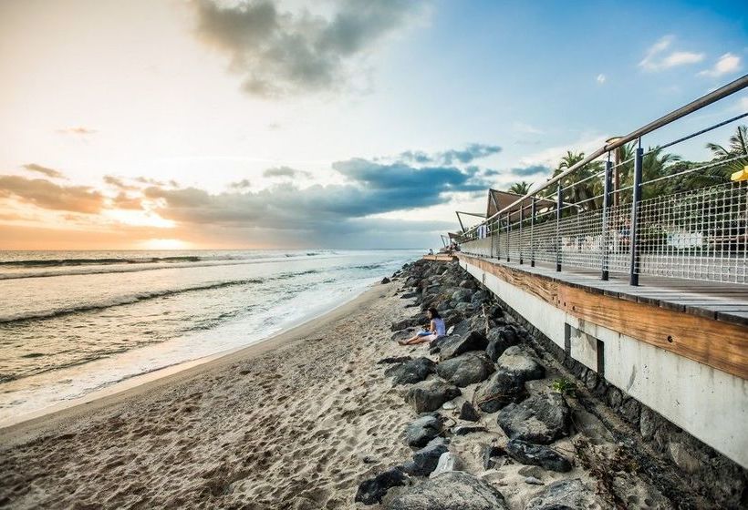 Appartement Comptoir 31