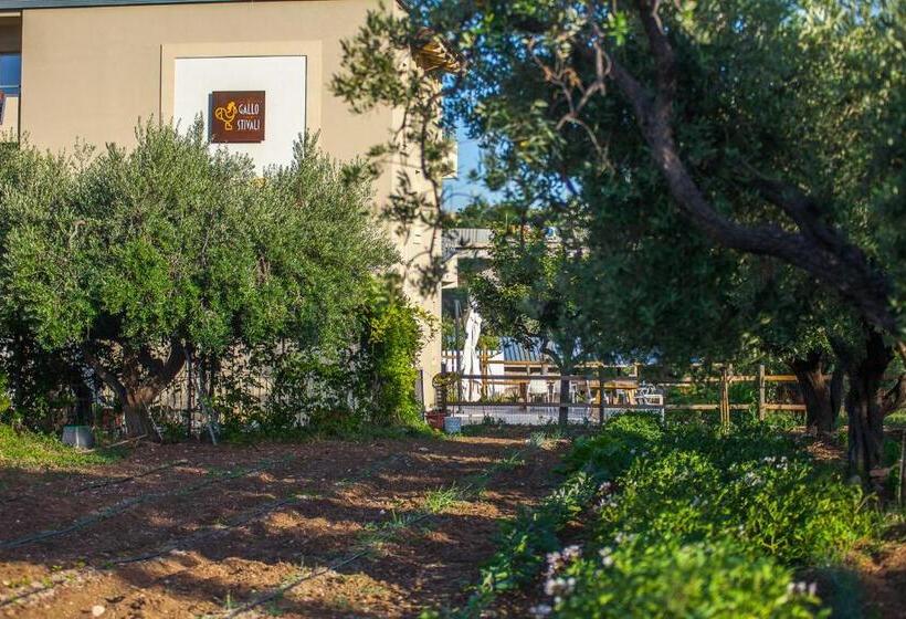 Aamiaismajoitus (B&B) Il Gallo Con Gli Stivali