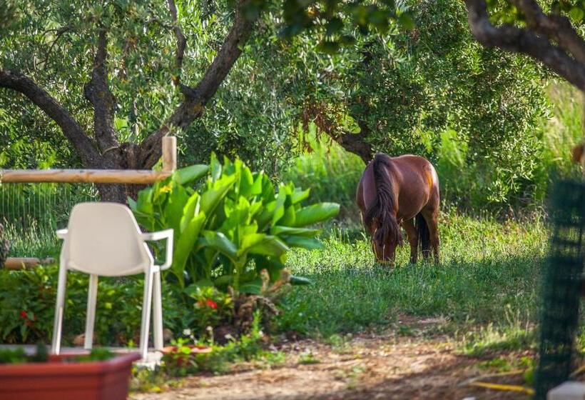 Aamiaismajoitus (B&B) Il Gallo Con Gli Stivali