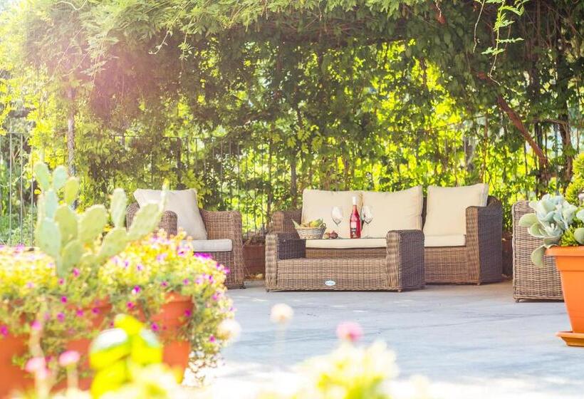 Aamiaismajoitus (B&B) Il Gallo Con Gli Stivali