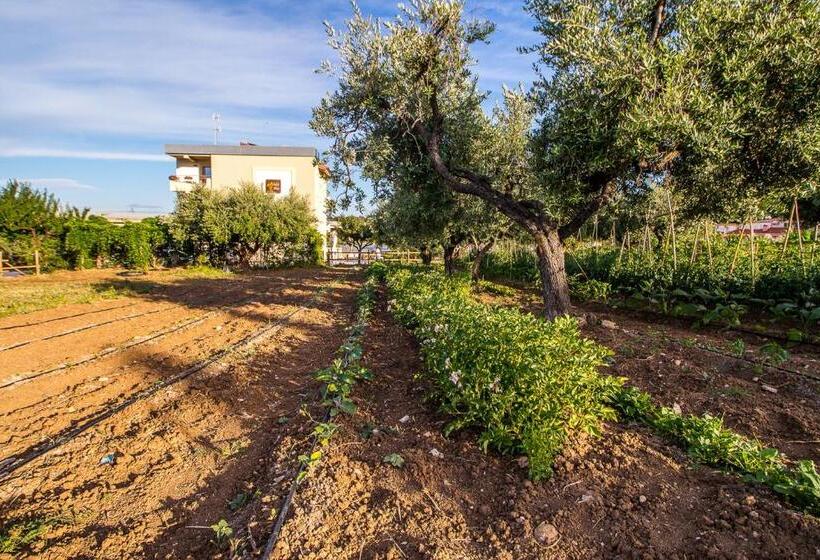 Aamiaismajoitus (B&B) Il Gallo Con Gli Stivali