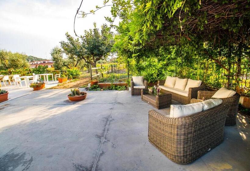 Aamiaismajoitus (B&B) Il Gallo Con Gli Stivali