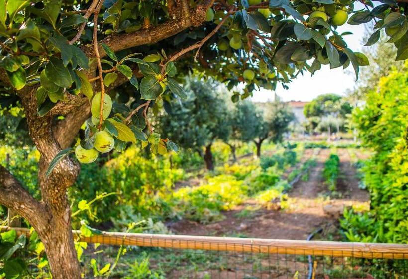 Aamiaismajoitus (B&B) Il Gallo Con Gli Stivali