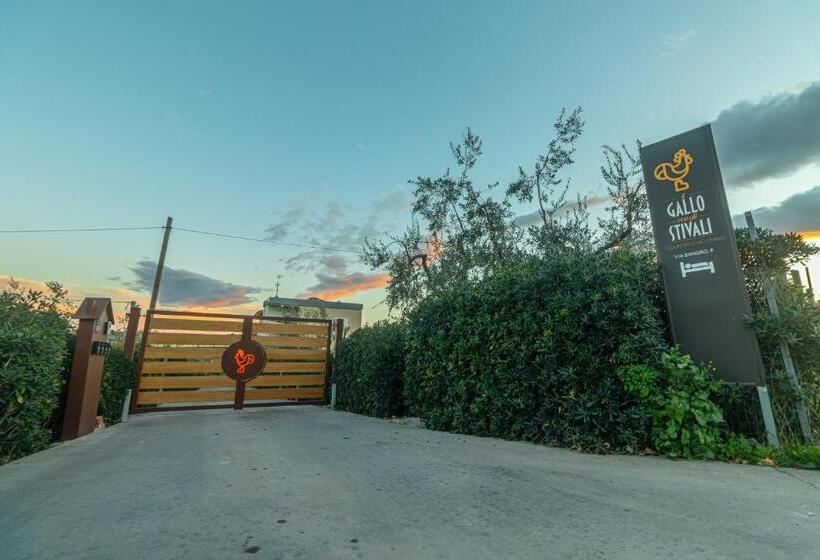 Aamiaismajoitus (B&B) Il Gallo Con Gli Stivali