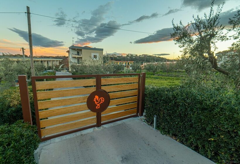 Aamiaismajoitus (B&B) Il Gallo Con Gli Stivali