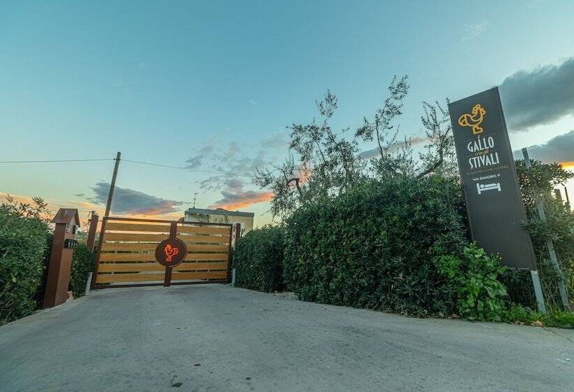 Aamiaismajoitus (B&B) Il Gallo Con Gli Stivali