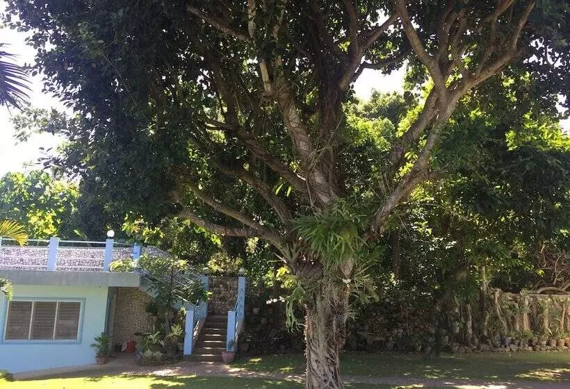 High Steps Pension