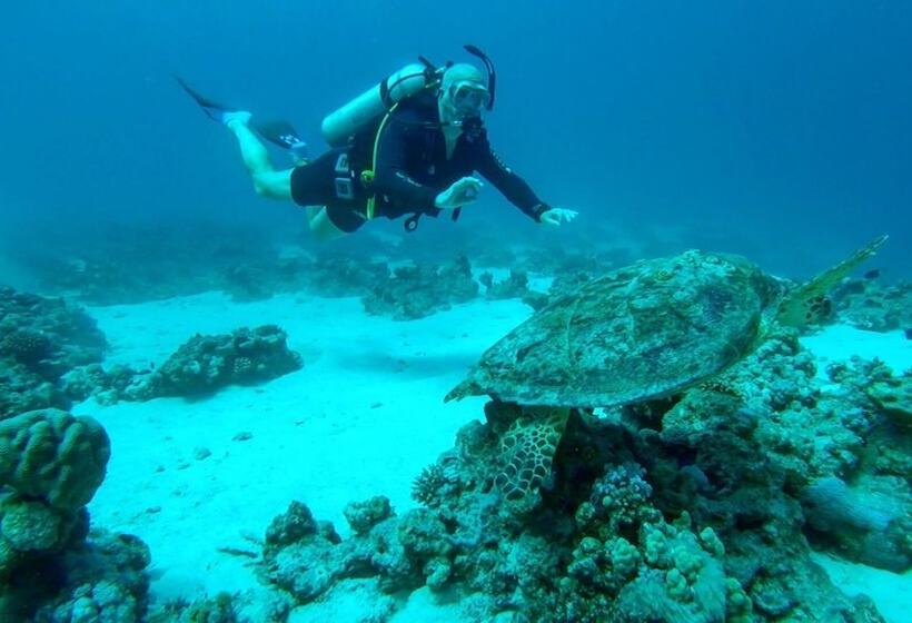 هتل Lily Palm Resort