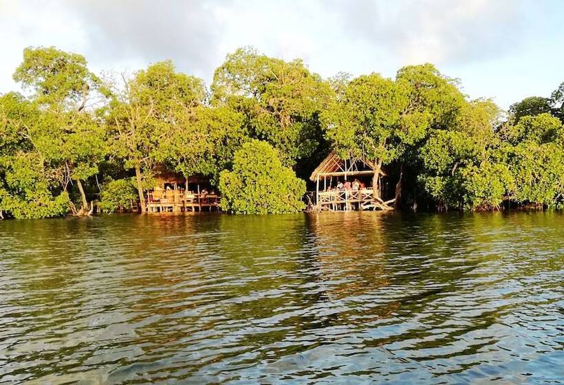 هتل Lily Palm Resort