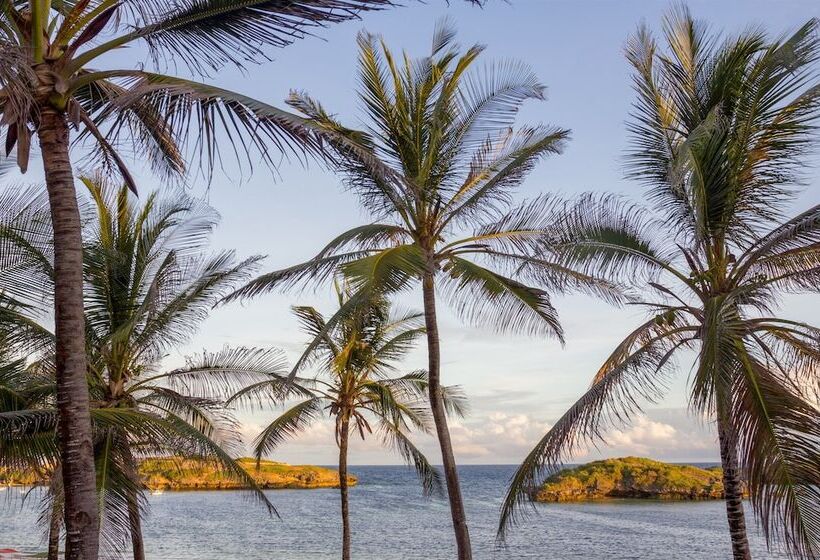 هتل Lily Palm Resort