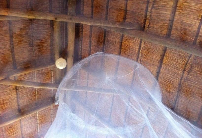 هتل Lion Roars Lodge