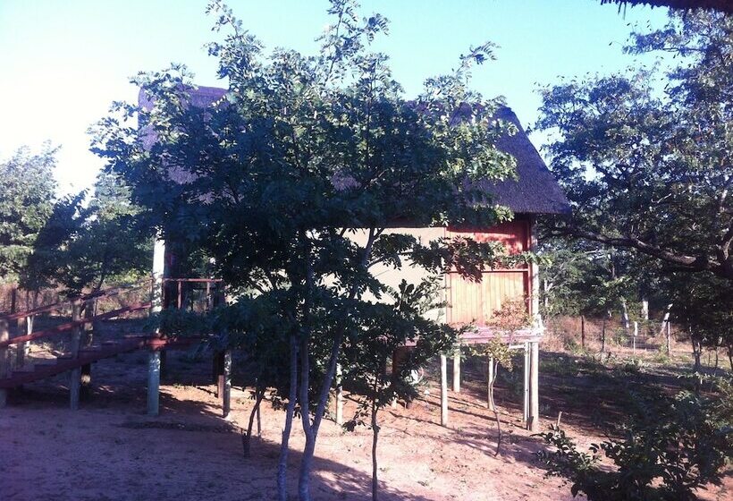 هتل Lion Roars Lodge