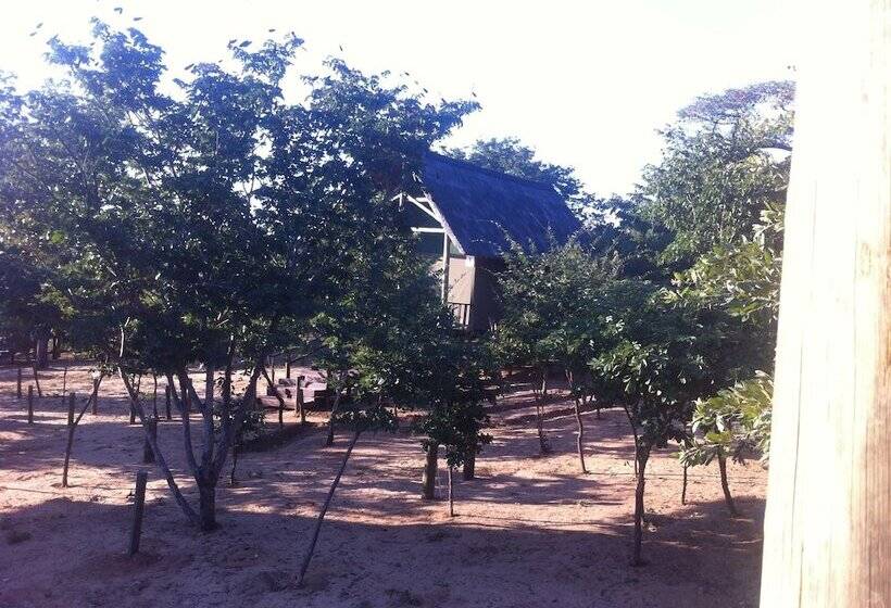 هتل Lion Roars Lodge