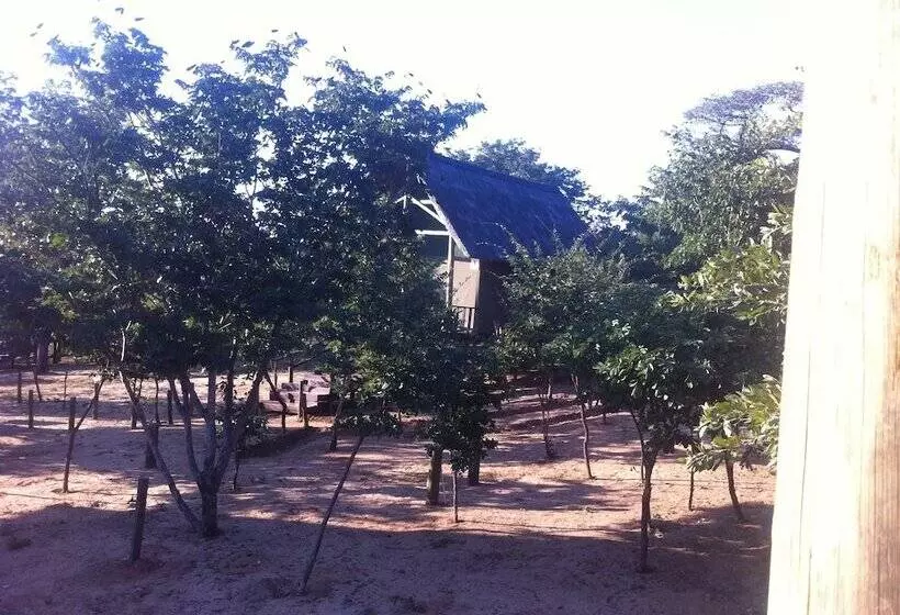 هتل Lion Roars Lodge