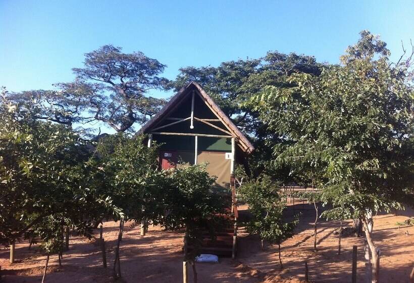 هتل Lion Roars Lodge