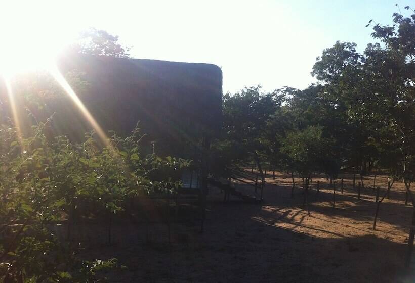 هتل Lion Roars Lodge