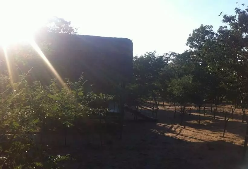 هتل Lion Roars Lodge