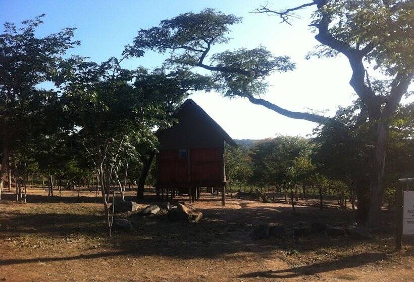 هتل Lion Roars Lodge