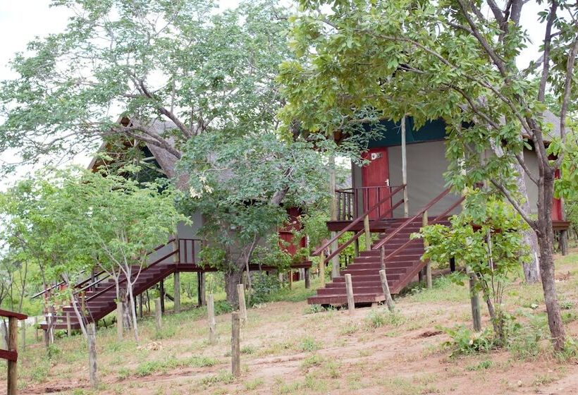 هتل Lion Roars Lodge