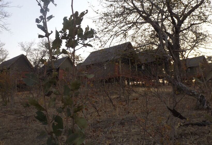 هتل Lion Roars Lodge