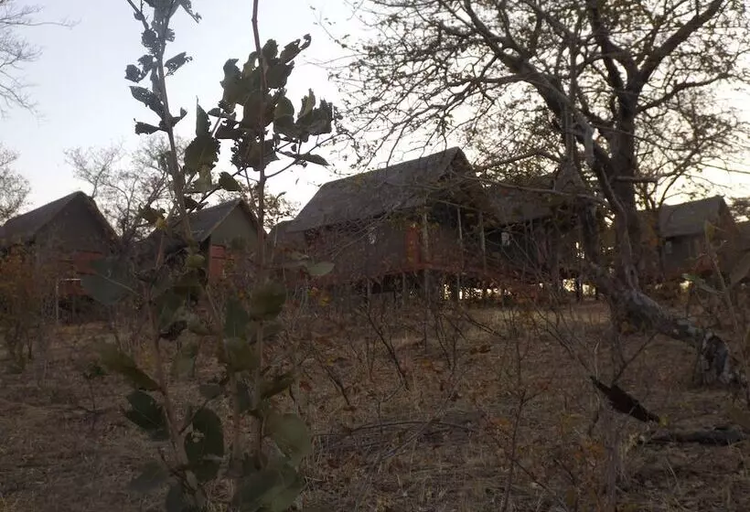 هتل Lion Roars Lodge