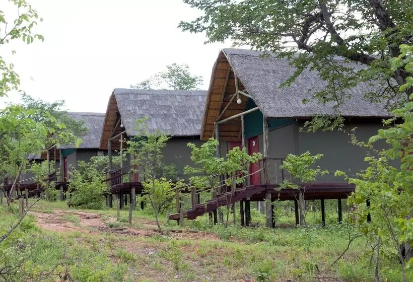 هتل Lion Roars Lodge
