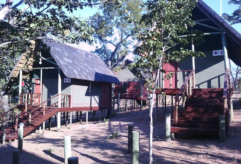 هتل Lion Roars Lodge